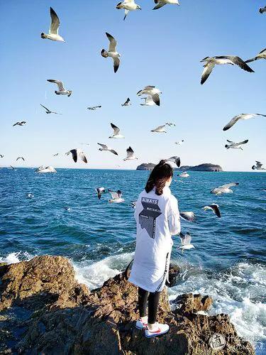 三亚自由行七日游攻略,第一次自由旅行三亚五天省钱之旅