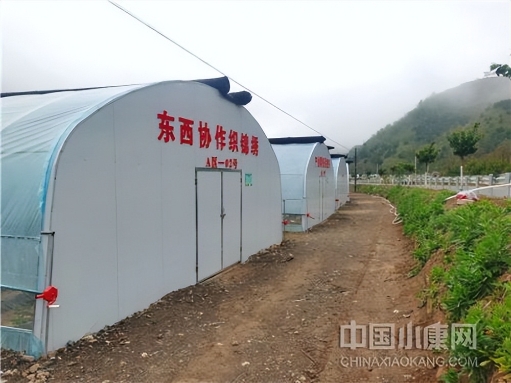 灏忔潙澶т簨鐪熷疄鏁呬簨,灏忔潙澶т簨