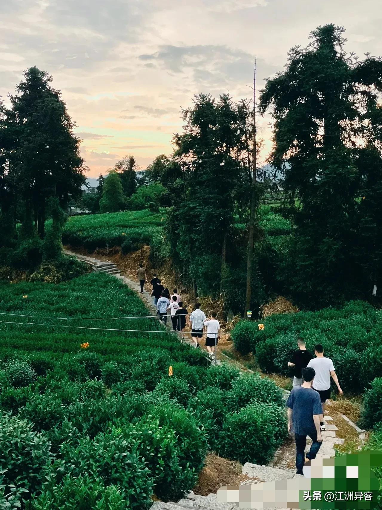 一碗蛇汤,云南蛇肉汤