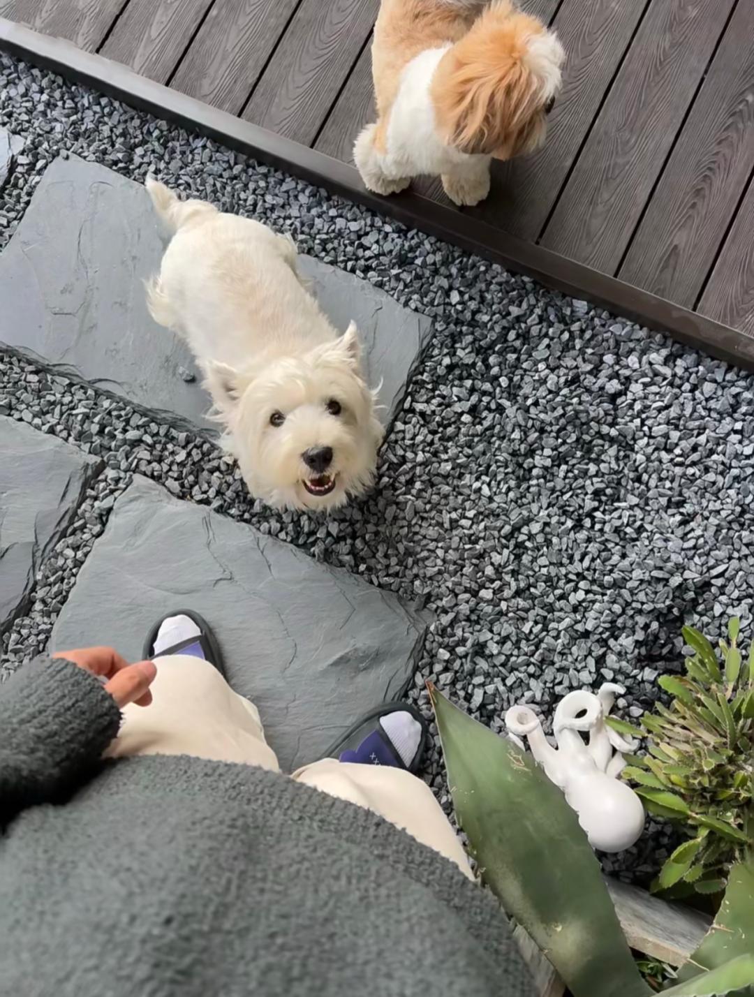 阳台用瓷砖好还是防腐木好,阳台地面铺防腐木好还是地砖好