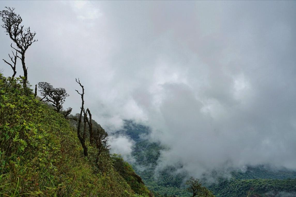 李商隐的夜雨寄北表达什么,唐诗三百首夜雨寄北李商隐