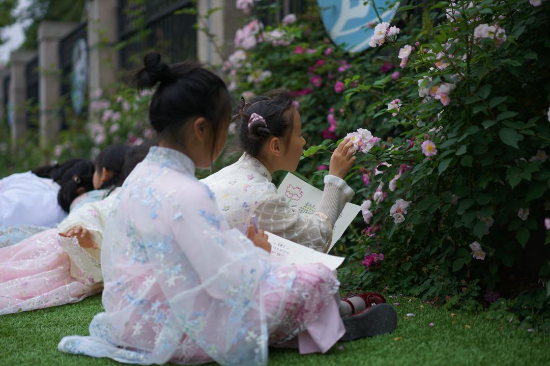 南京市致远外国语小学施教区,南京致远外国语小学一年级