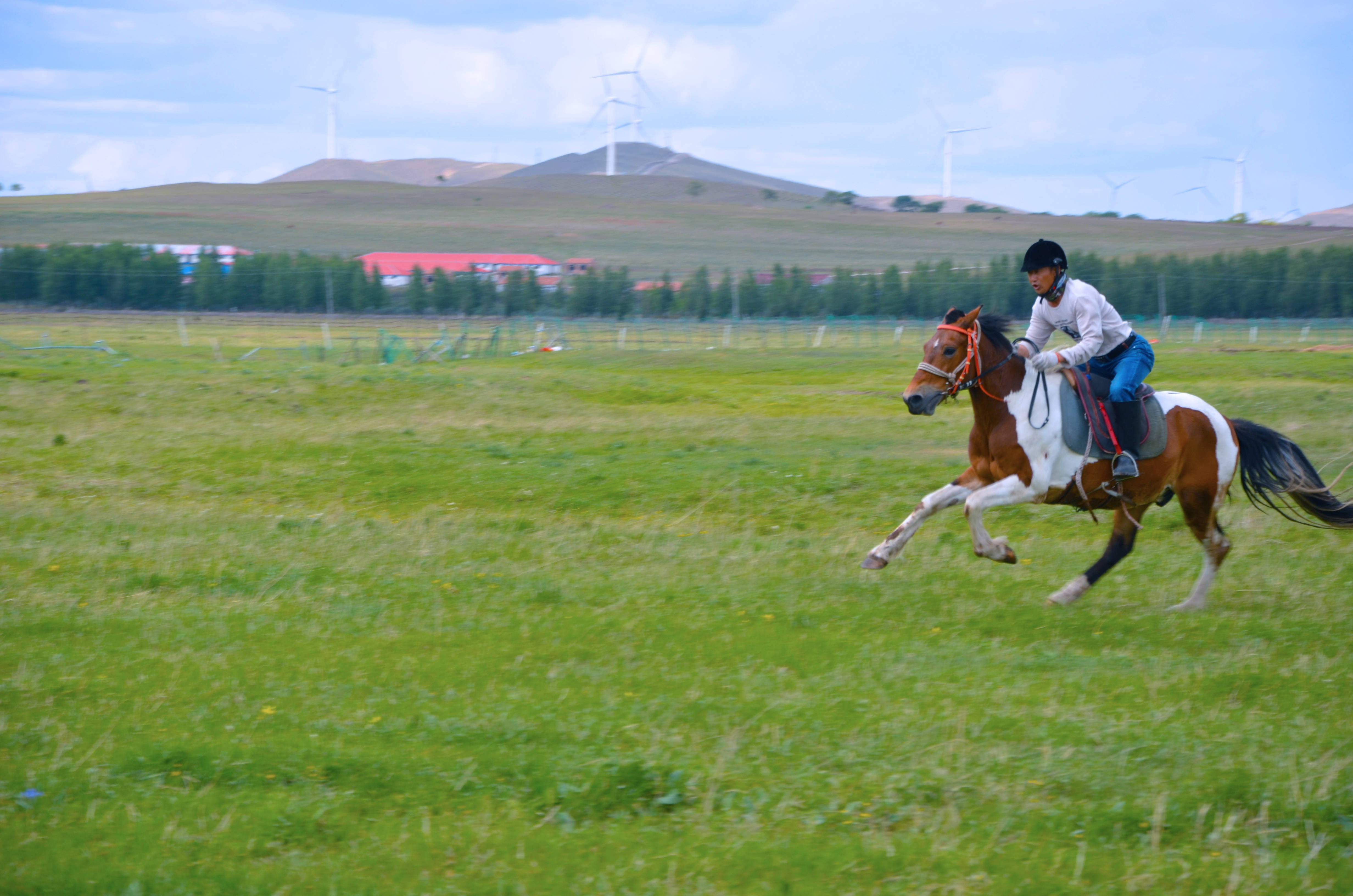 坝上草原最新旅行攻略图,坝上草原秋色旅游攻略大全