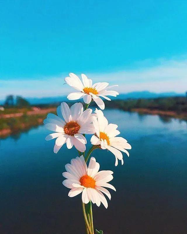 今日人生心灵鸡汤经典语录大全,2021心灵鸡汤人生感悟