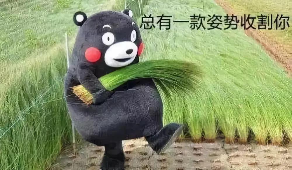 杭州萧山最新警方通报,杭州萧山警方最新通报