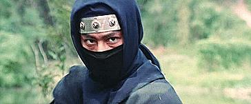 动作打斗电影十大巅峰之作,高分打斗电影国内排行榜前十