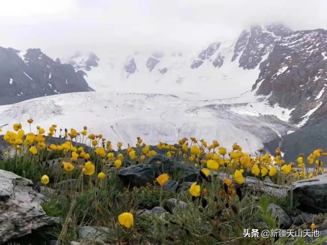 博格达天山,天山博格达雪峰