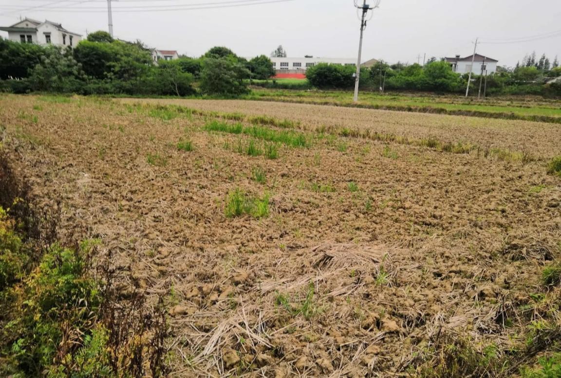 广西单身小伙赚到第一份工资,广西小伙养鱼赚百万