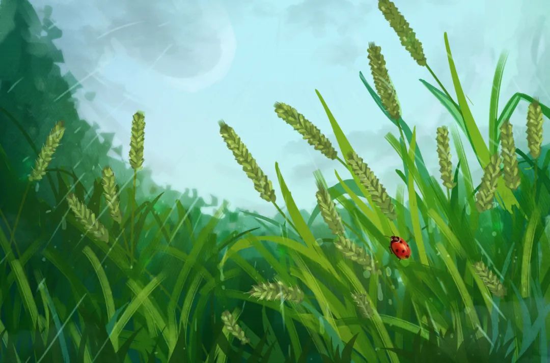 刘长卿的诗风雪夜归人,刘长卿十首经典