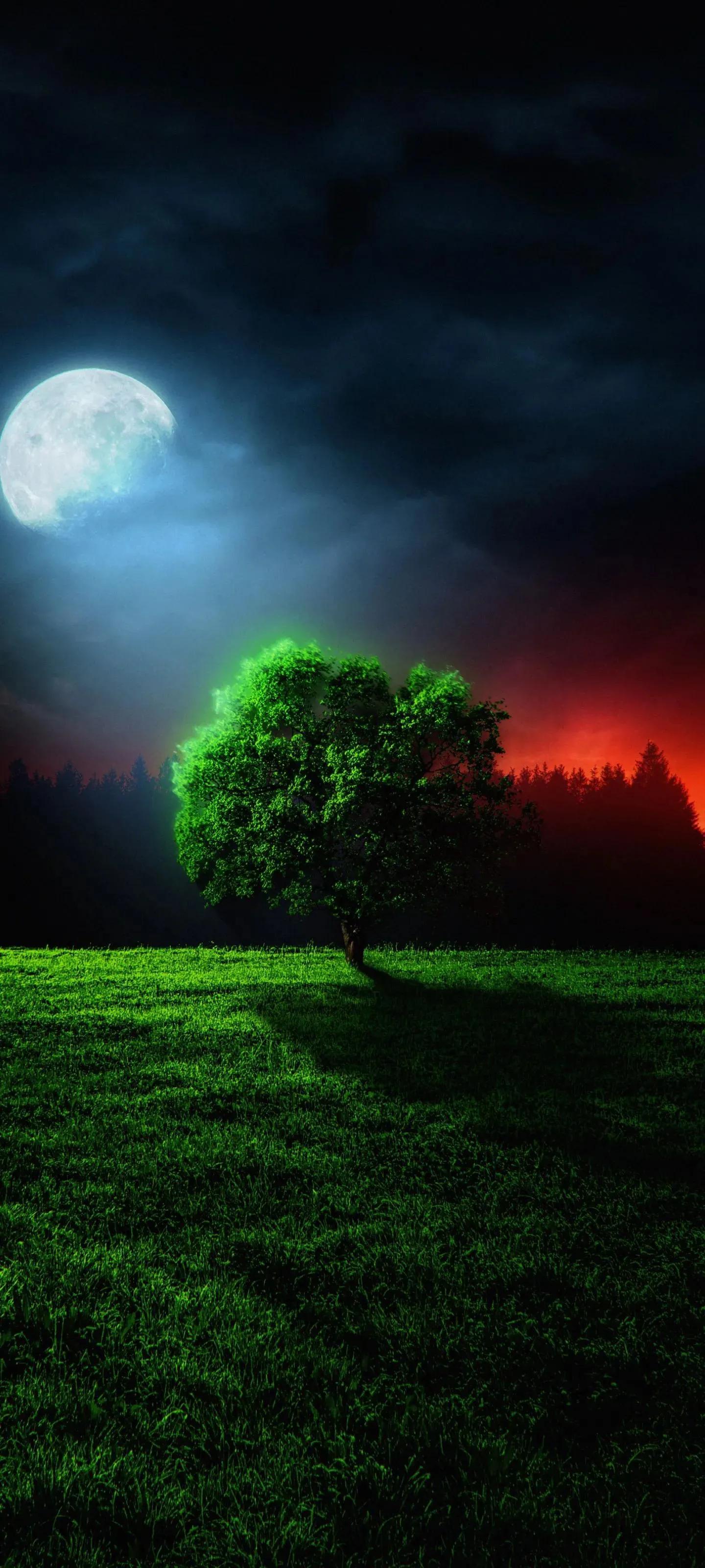 高清全面屏手机壁纸,米奇壁纸高清全面屏