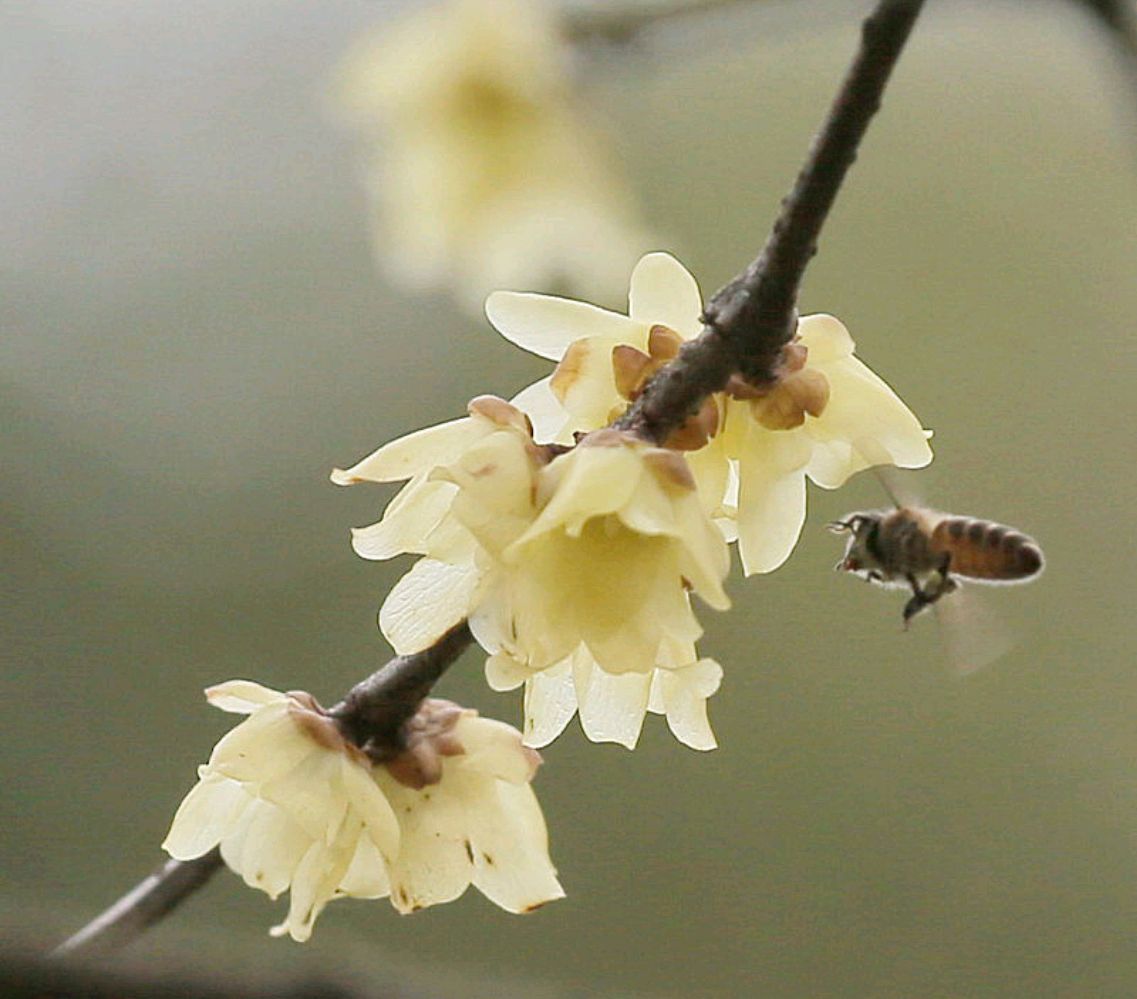 娶妻看口嫁汉看手是什么意思,老祖宗留下的识人俗语有哪些