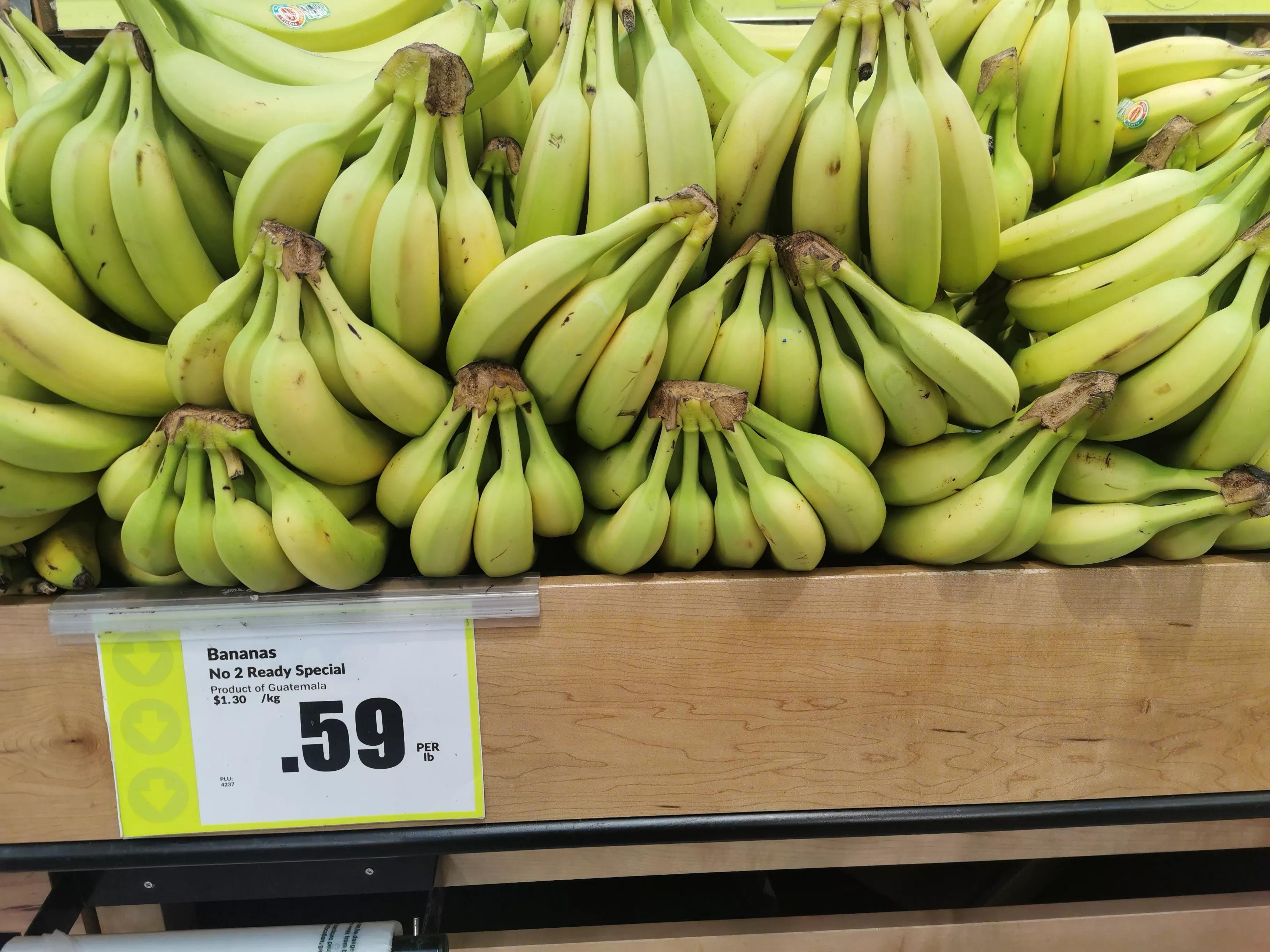 把食品价格降下来！北约克西人鲜哥超市（FRESHCO）的经营口号