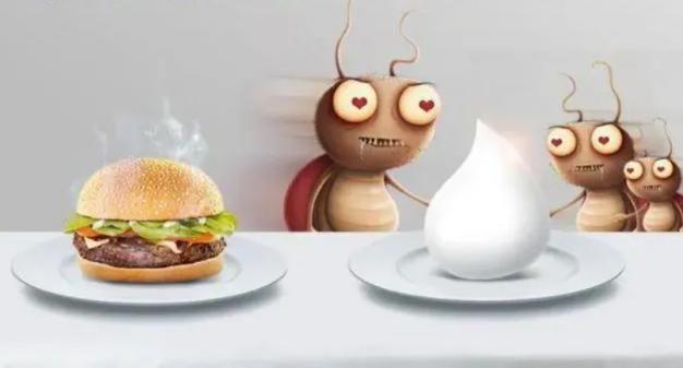 家里的蟑螂越来越多怎么消灭蟑螂,根除蟑螂有什么特效药和妙招