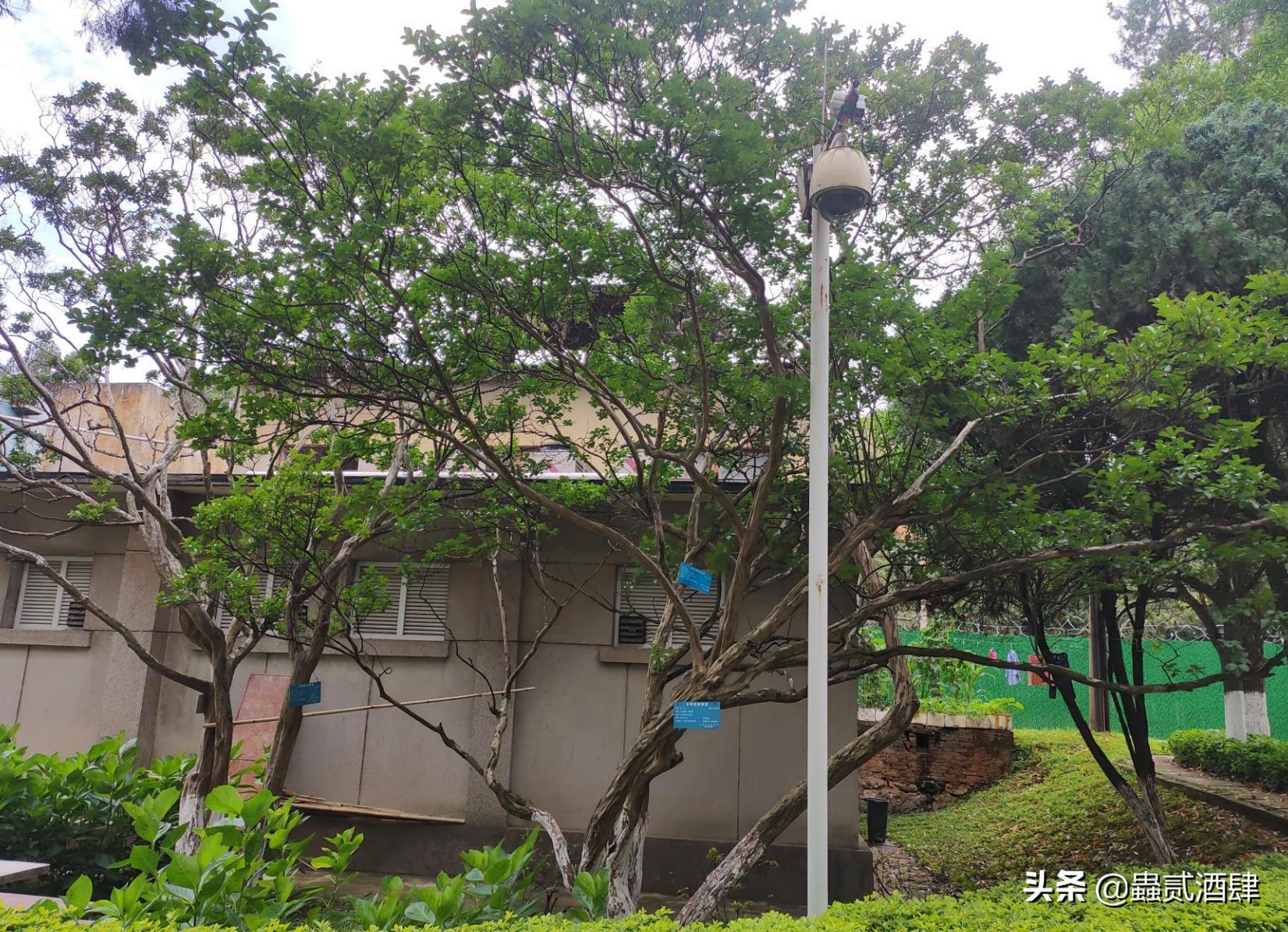 昆明改造拆迁,昆明改扩建工程在哪里