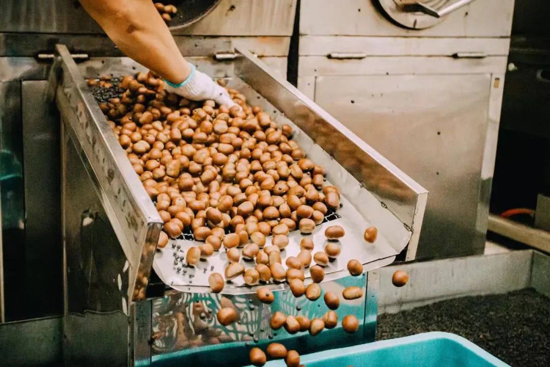 全国哪个地方的毛栗子最好吃,南京毛栗子