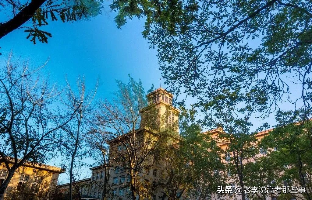 南开大学2021届就业质量报告,南开大学就业质量