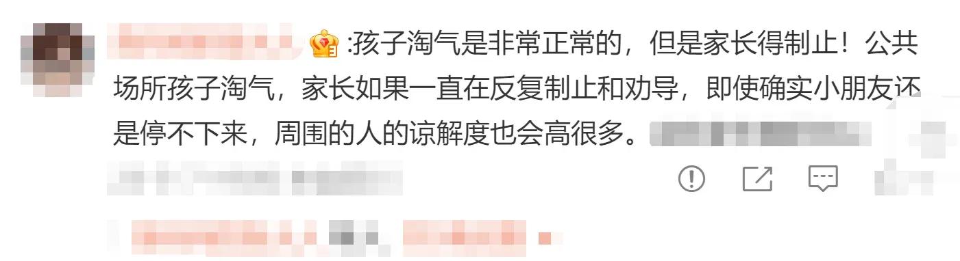 高铁掌掴事件打人夫妇是谁,高铁掌掴事件定性为互殴原视频