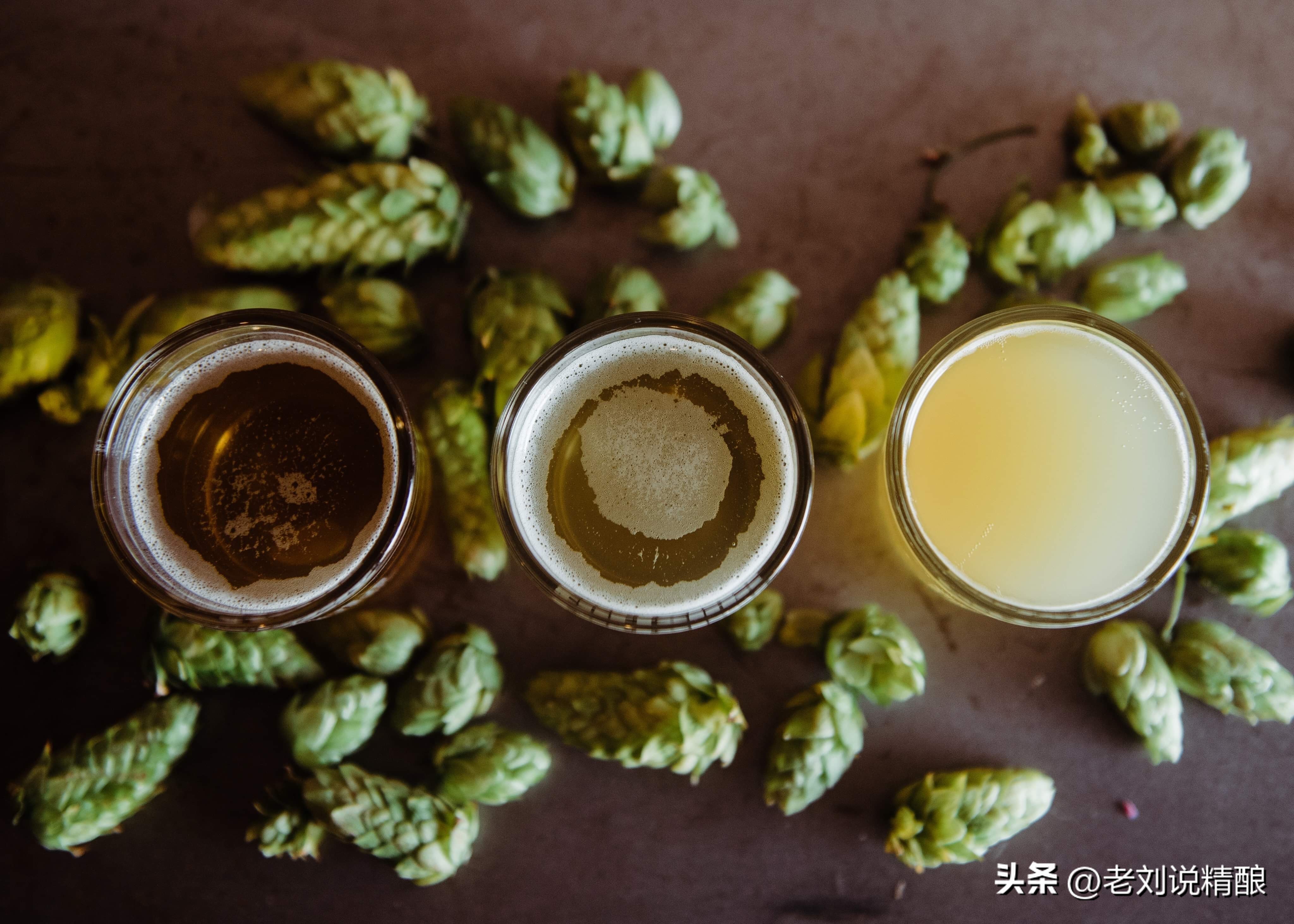 啤酒中的香气是什么,为什么啤酒会有不同味道