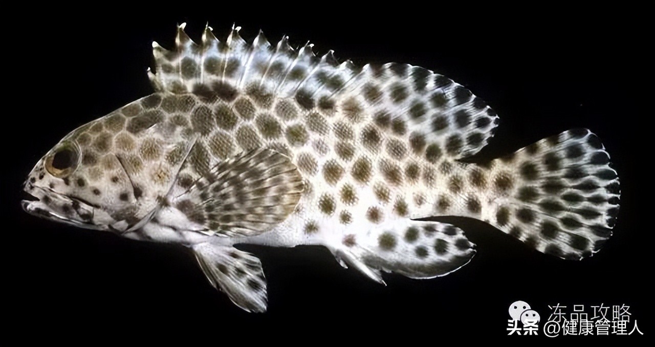 美容护肤食疗方案,美容护肤养生介绍