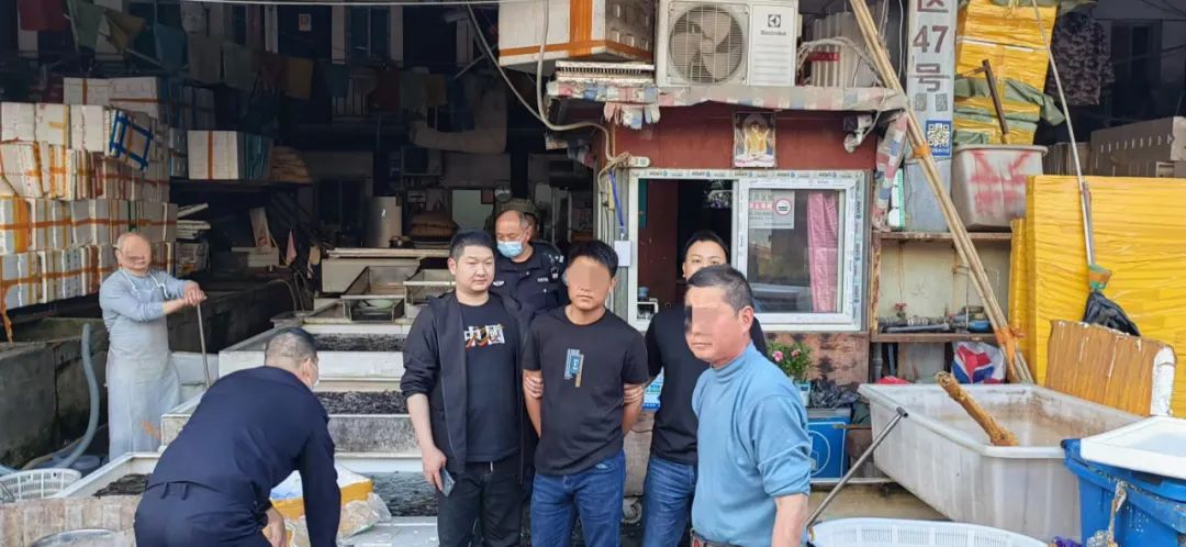 低价卖房骗局揭秘,低价购房骗局套路