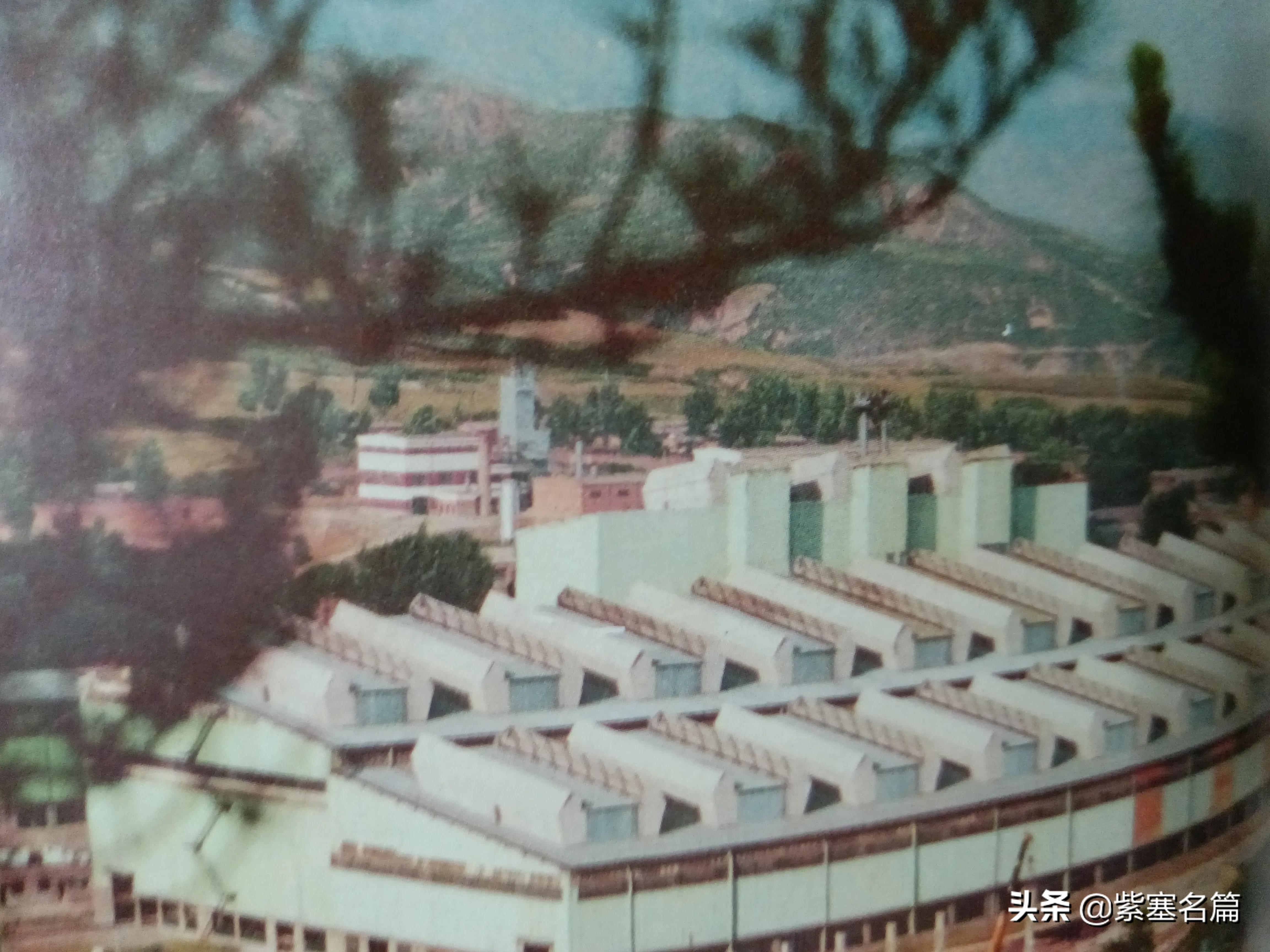 承德市承钢,承德承钢钒钛领导