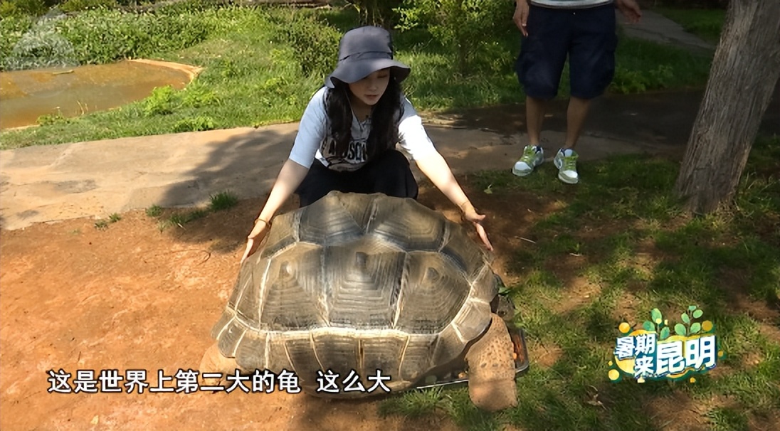 昆明动物世界野生动物园,昆明大自然野生动物园