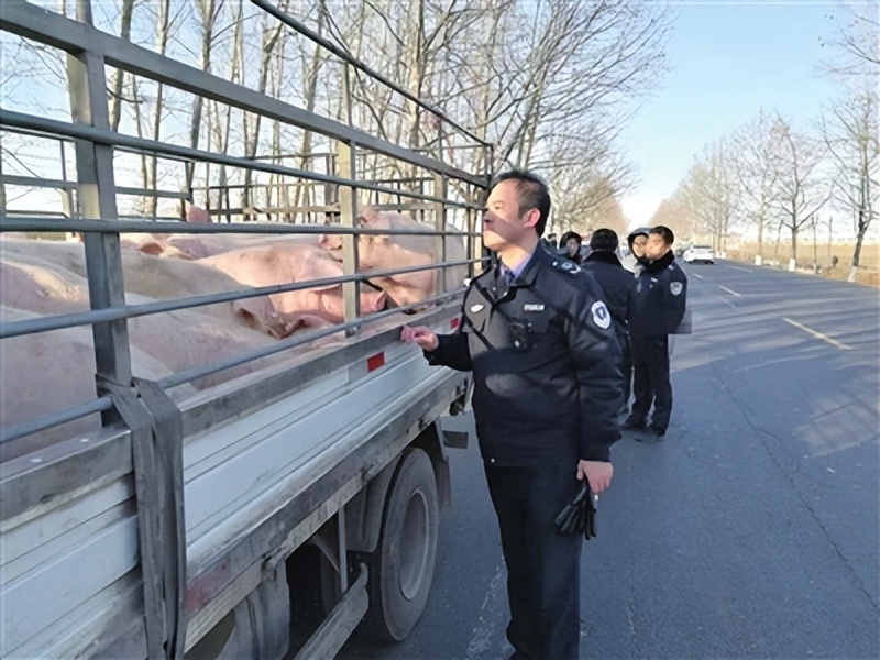 我市兽医师赵韶阳在全国大赛中获冠军