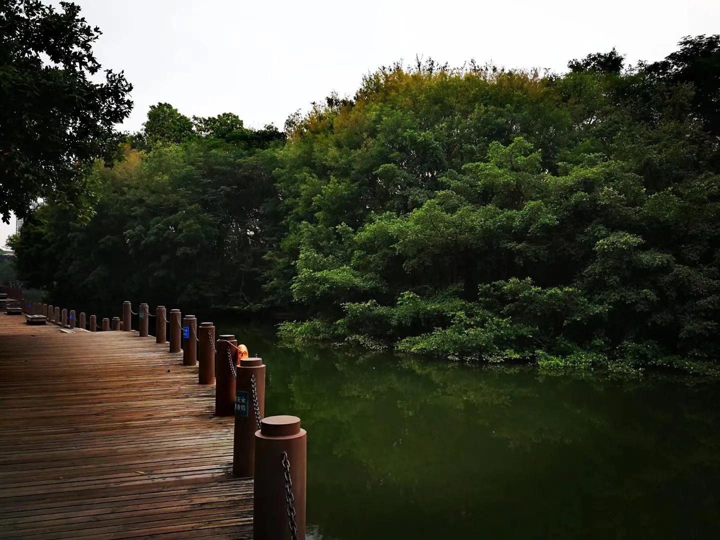 扁舟一叶意象,扁舟一叶诗句