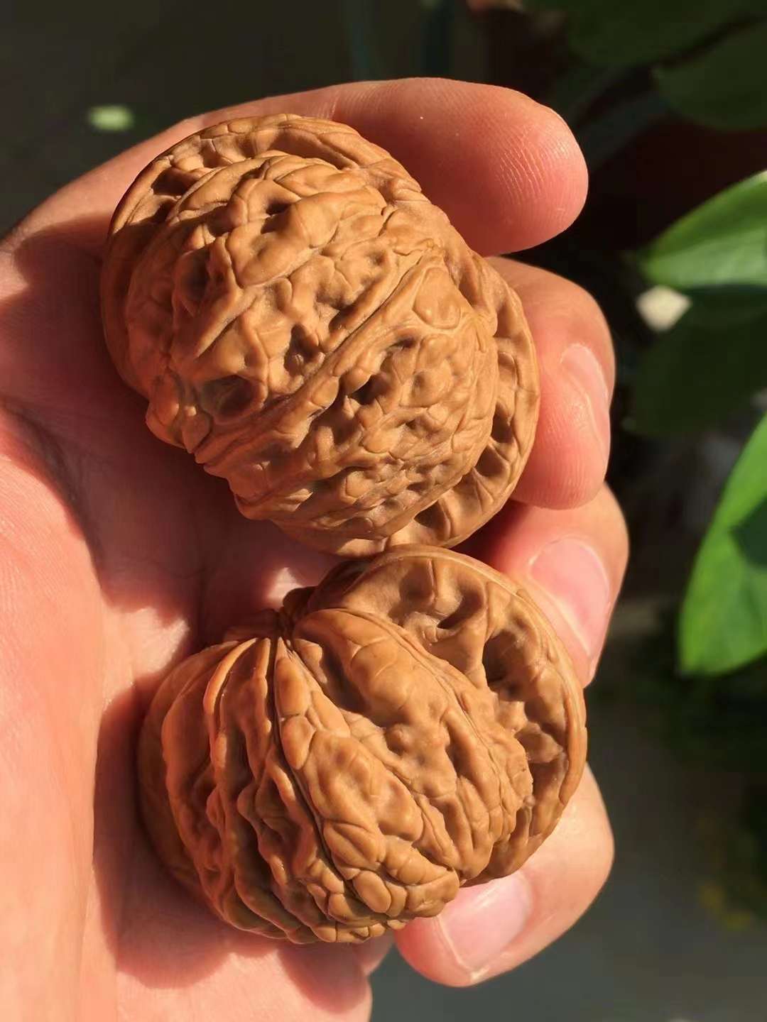 乾隆磨盘和山地磨盘区别对比,乾隆磨盘和普通磨盘哪个贵