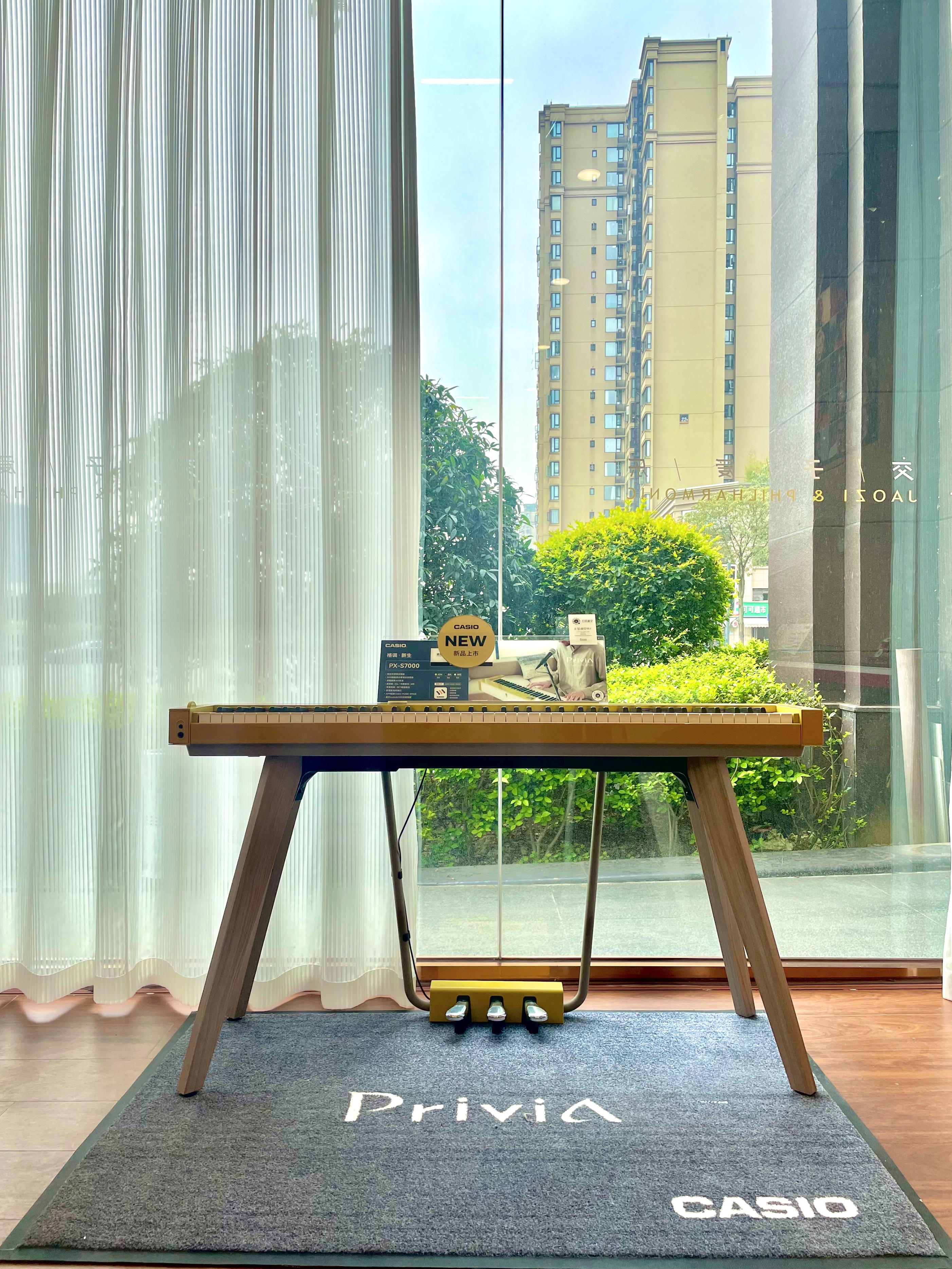 卡西欧便携电钢琴实用型,卡西欧专业便携式电钢琴