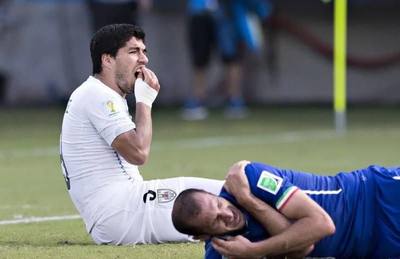 老鹰和狮子大决斗,老鹰与世界杯