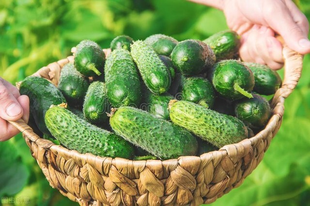 明日立夏蔬菜食谱,明日立夏养心食物