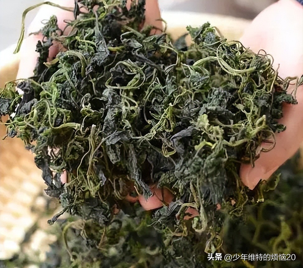 三伏天一定要吃这个菜,临近三伏最该吃这菜鲜嫩又营养