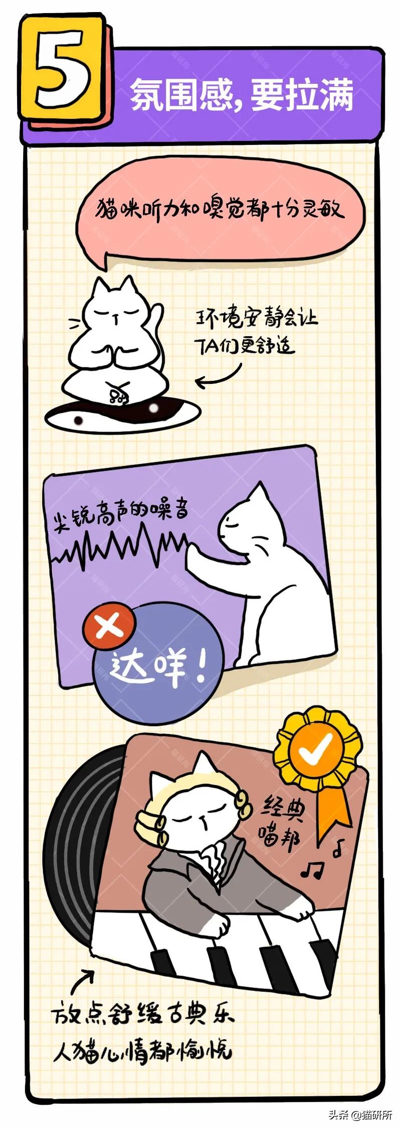 6个哄猫咪开心的小技巧，包教包会