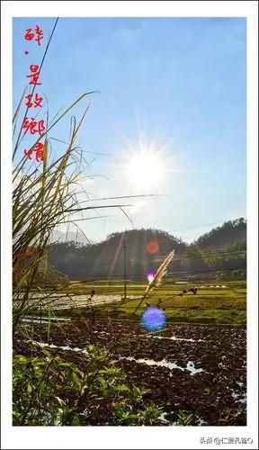 童年的梦歌曲,童年的梦