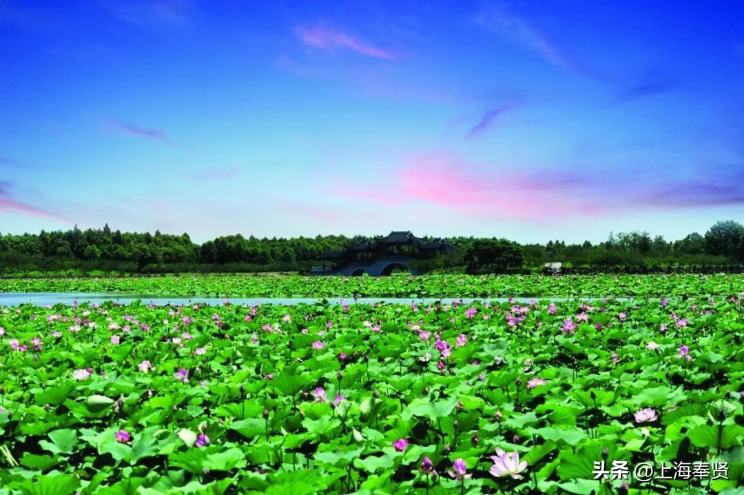 休憩一夏，趣味海湾