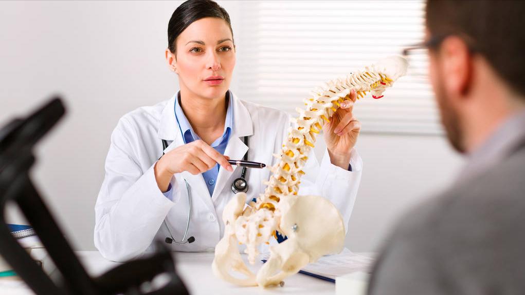 一张图告诉你人体有多少块骨头,206块骨头为什么只有204块