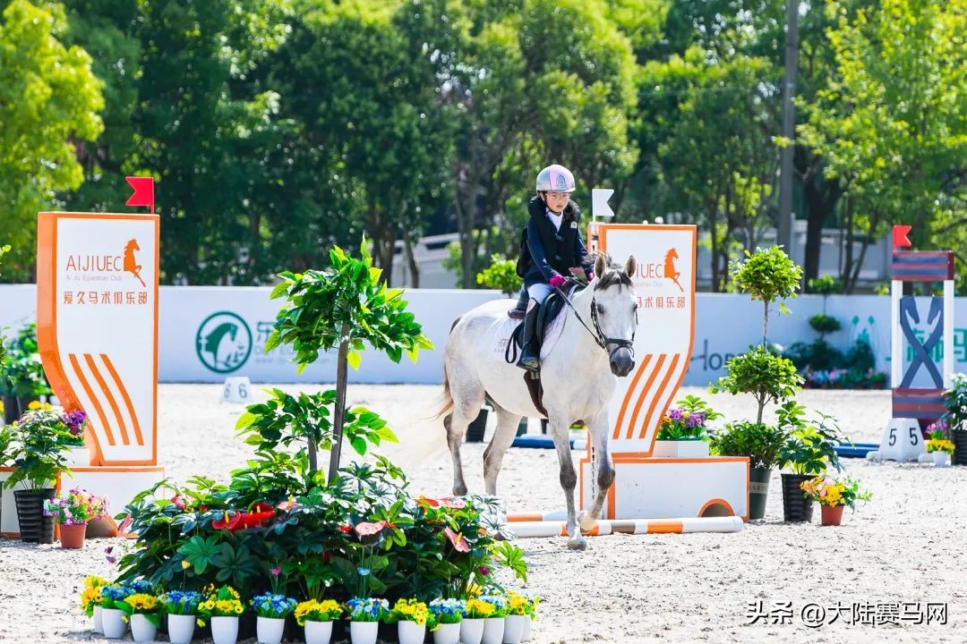 2020上海马术青少年锦标赛,2019年上海马术障碍赛