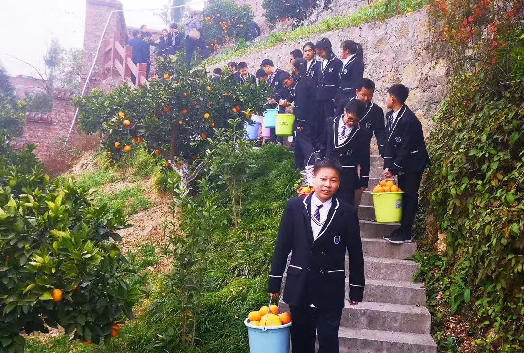 劳动教育课程的构建与实践研究,劳动教育校本化实践研究