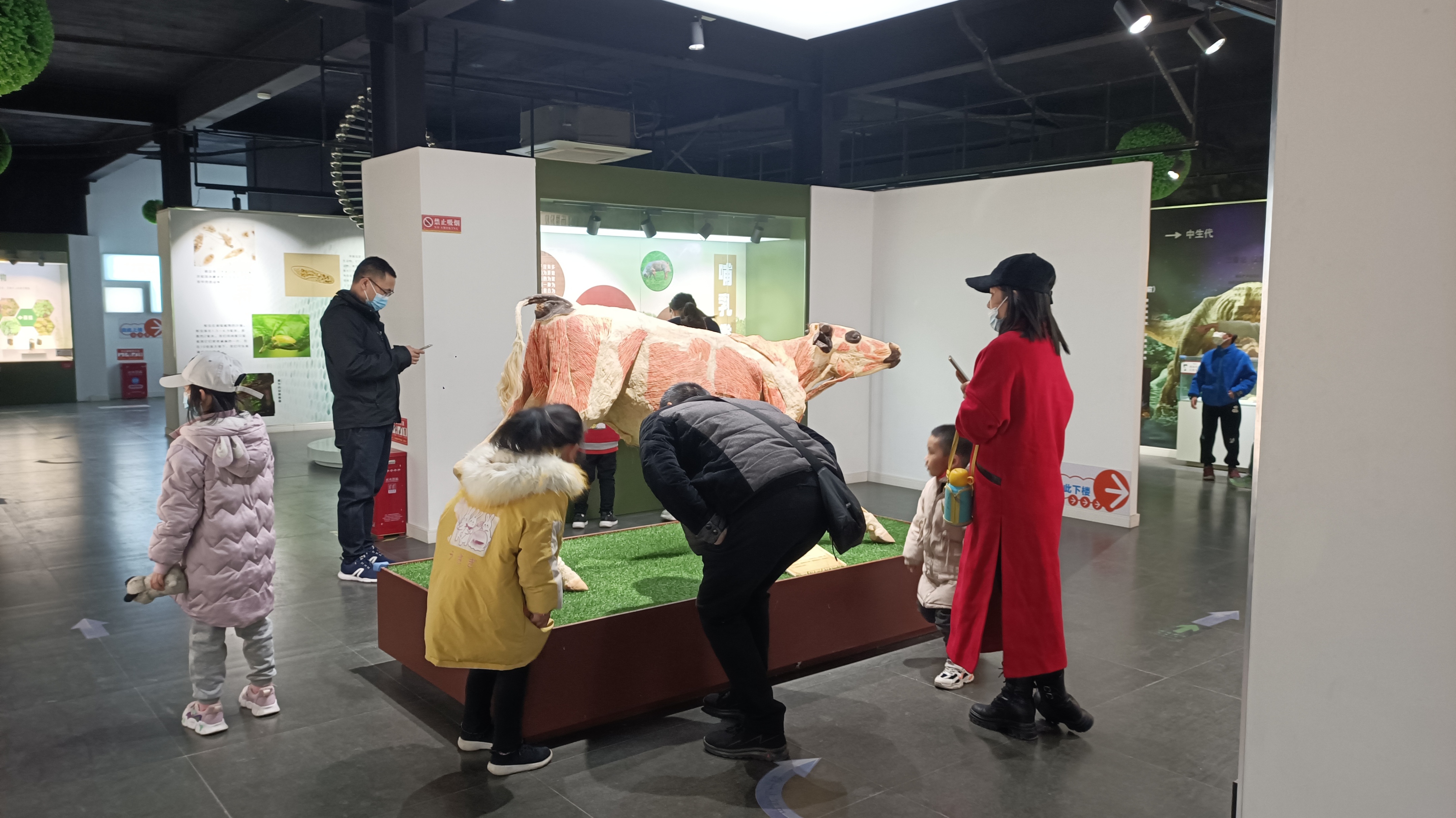 郑州室内旅游攻略必去景点,郑州景点室内游玩攻略