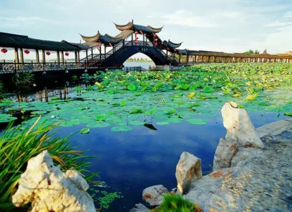 苏州旅游团七日游,苏州旅游团1日游