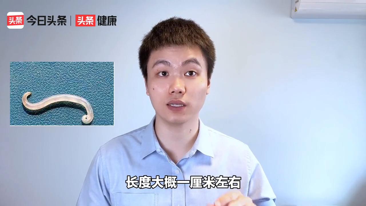 阑尾炎肚子里有虫,阑尾里面长虫子