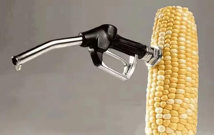 国内推行的乙醇汽油，为何在德国全面禁止呢？触碰了资本家的利益