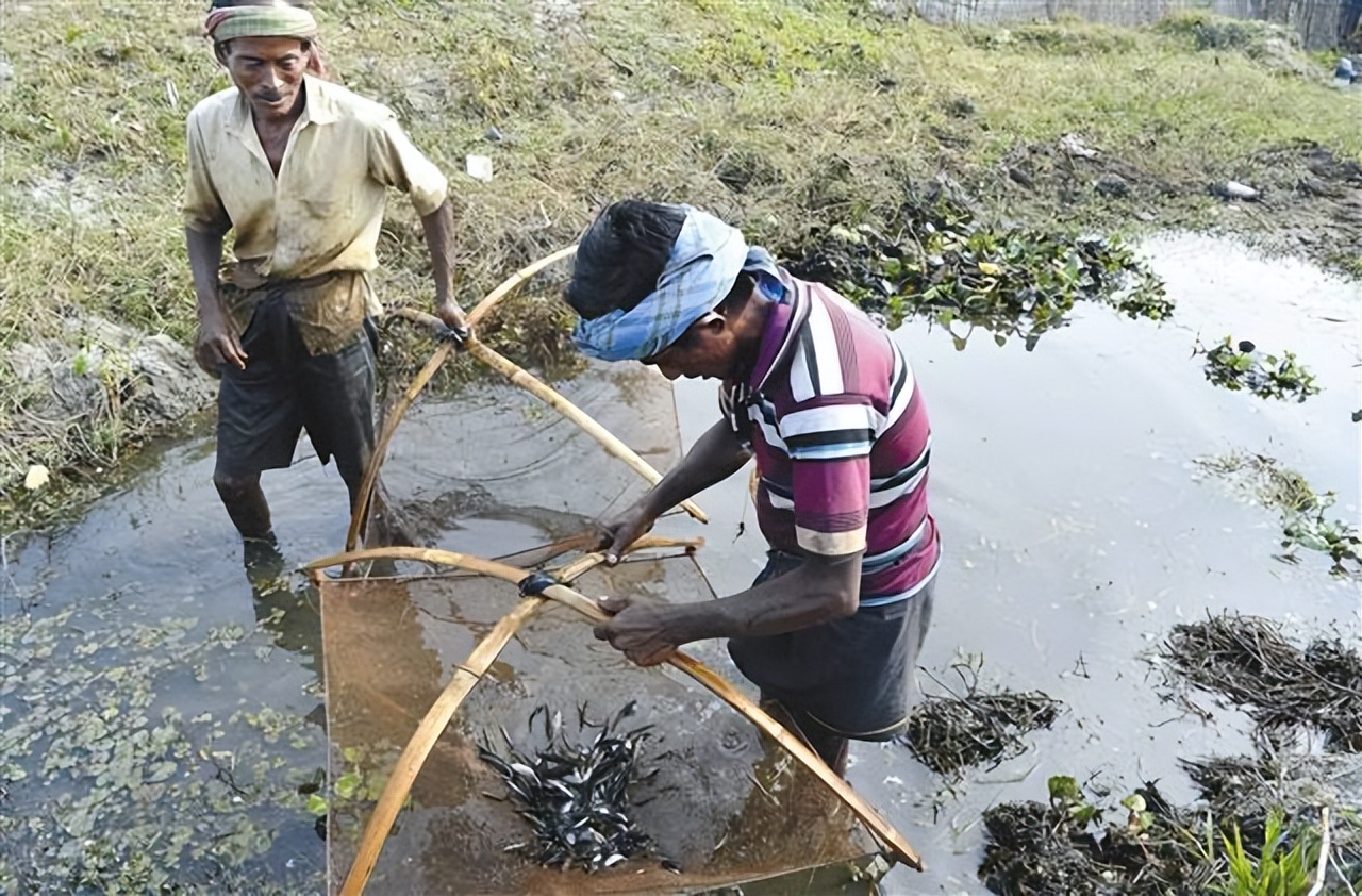 印度奇葩的真实情况,印度50张奇葩图片