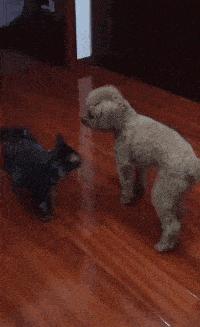 坐高铁遇到旁边老阿姨脱鞋,坐高铁遇到旁边阿姨脱鞋