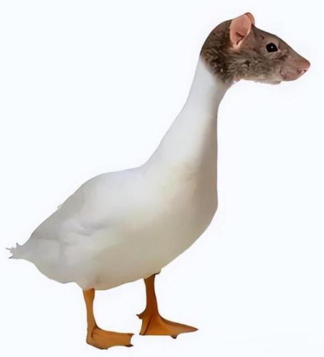 触景生情，想起小时候吃过的“鸭脖”