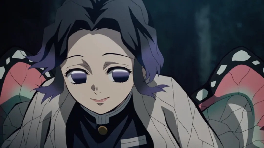 鬼灭之刃蝴蝶姐妹图片,鬼灭之刃蝴蝶忍姐妹