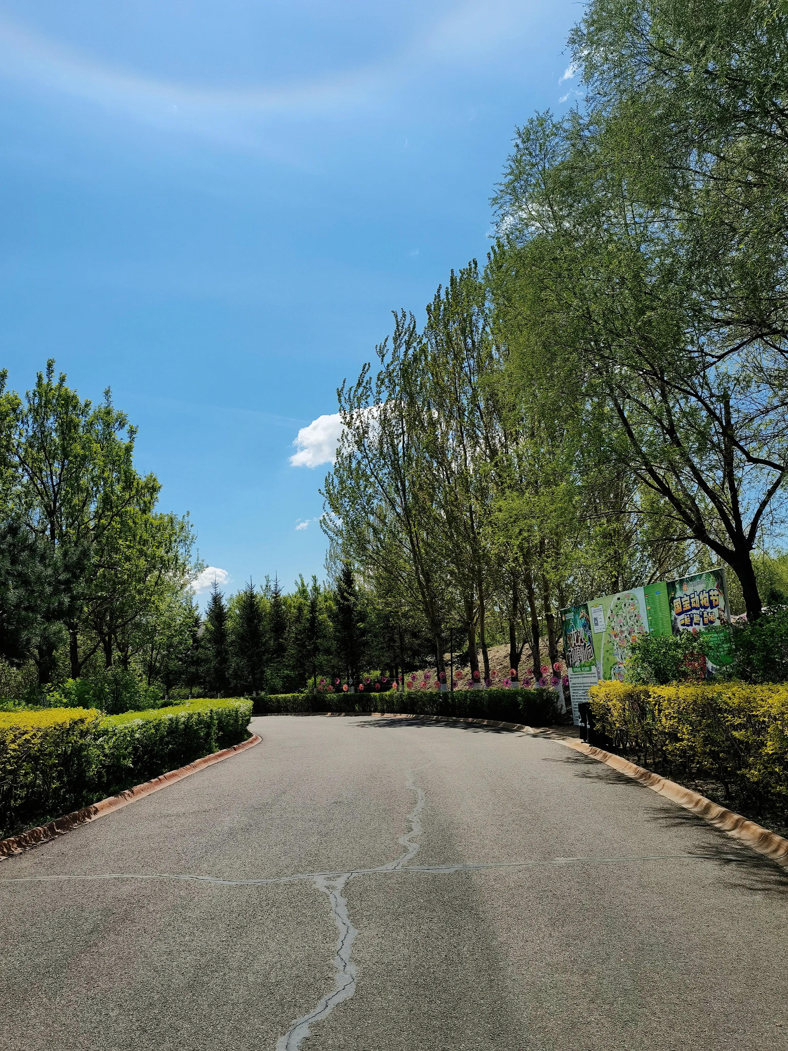 你能断舍离吗,断舍离没有人能轻易做到