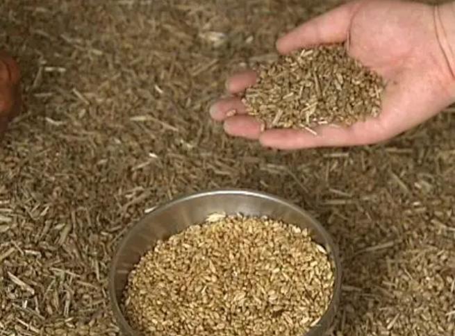 食品中的干燥剂别丢了4大妙用,生活中干燥剂分类及用途