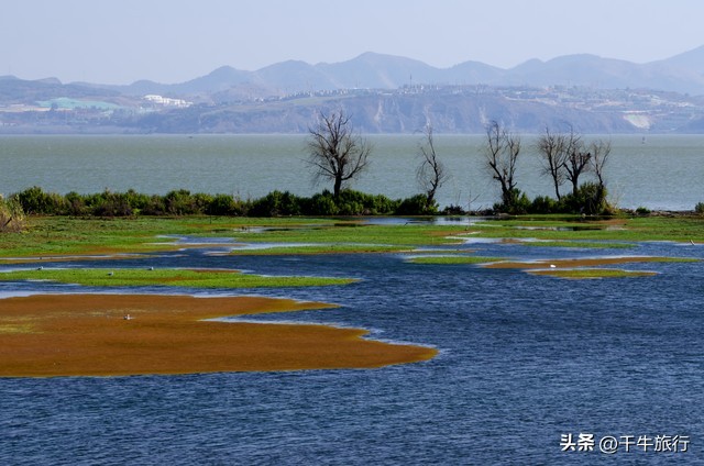 云南必去的4个景点,云南网红打卡景点